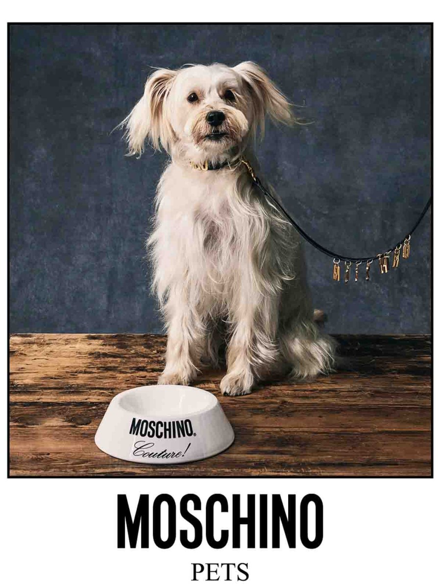 Uomo Moschino | Ciotola Per Cani